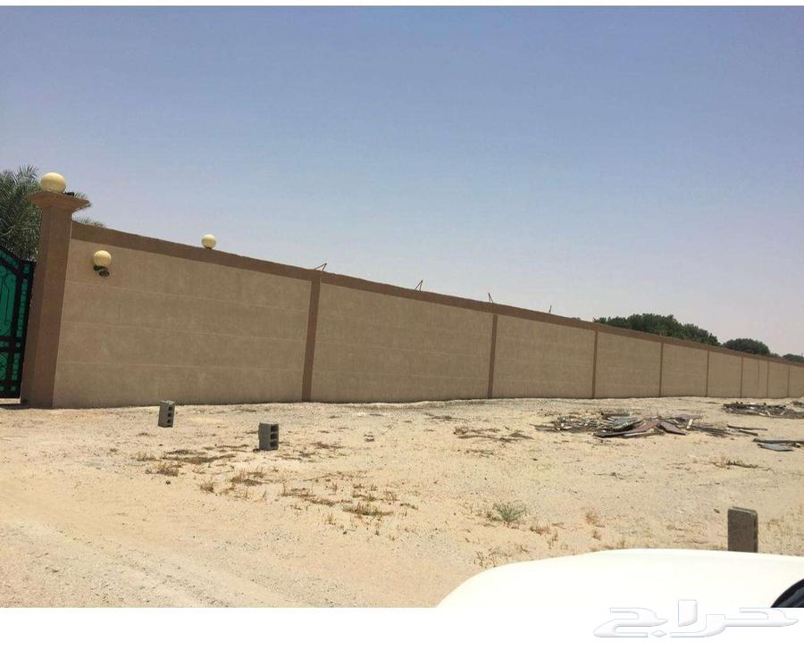 For sale: agricultural land adjacent to Nasma Company in Jubail Industrial City63015213202307111