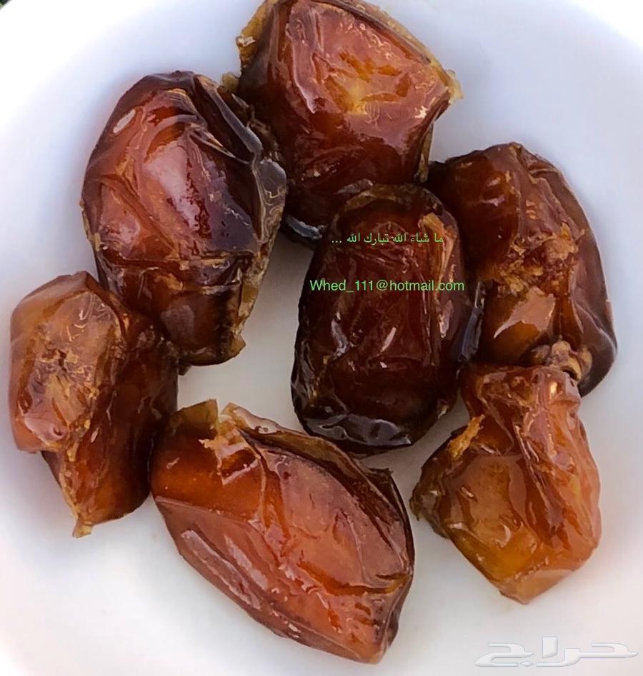 Tamar Al-Salas from Aniza 1446 AH63146025337601111