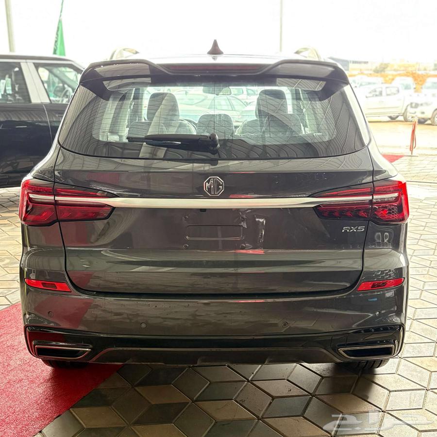 MG RX5 Standard Model 202563212448581122112