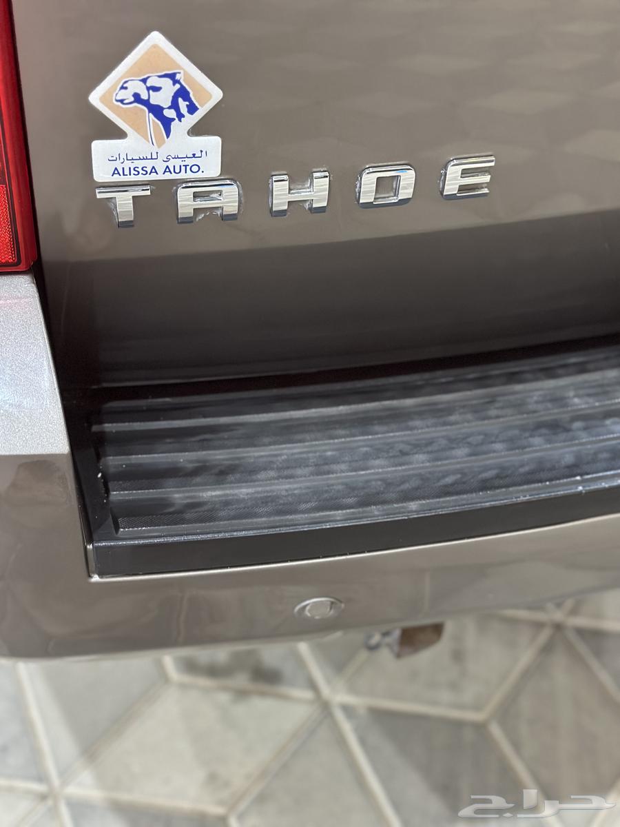 Taho short 2011 agency without double (sold)63205395456515112