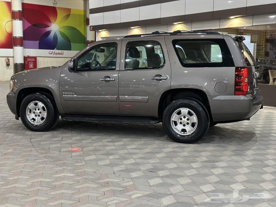 Taho short 2011 agency without double (sold)63205395456515111