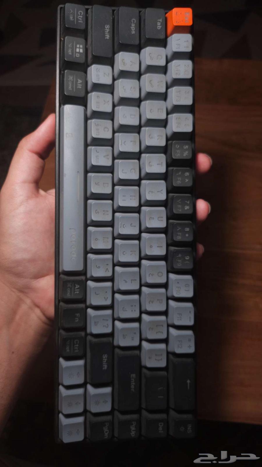 Bluetooth keyboard from Brodo brand, Arabic and English63482309158915110