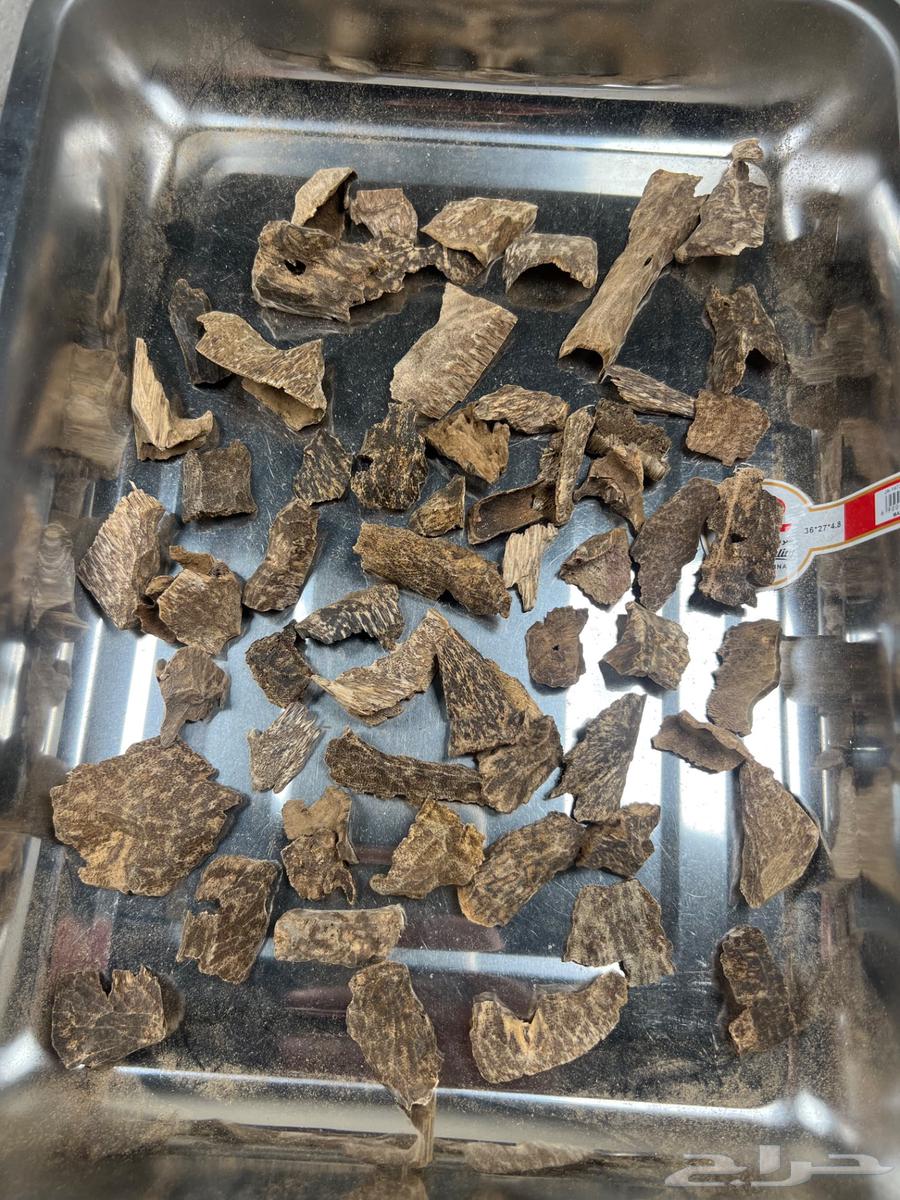 Vietnamese natural mini oud fishing and incense63137085036801115