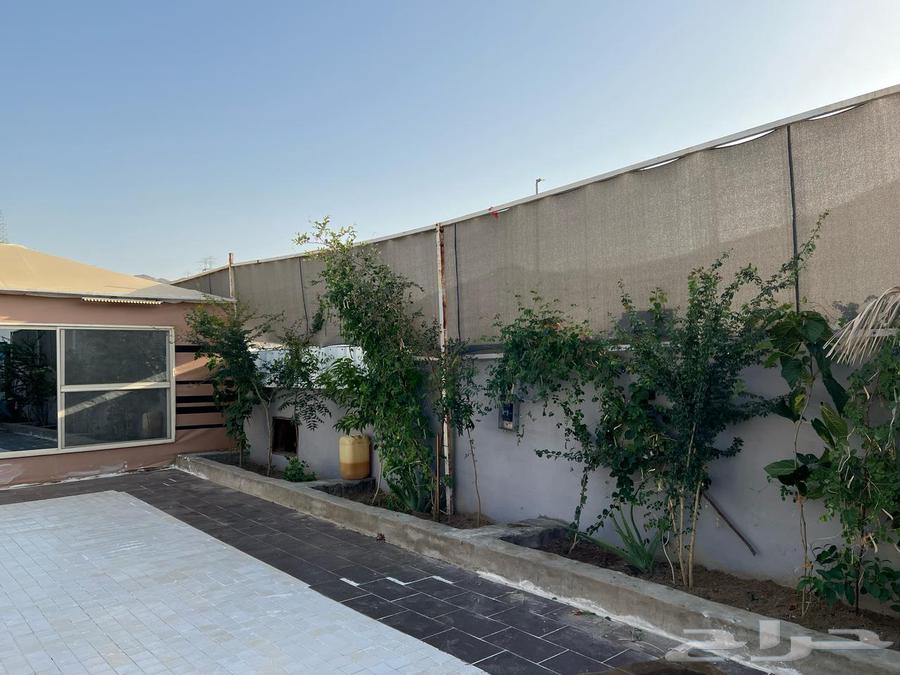استراحة جديده للإيجار مكه النوريه63016932412803114