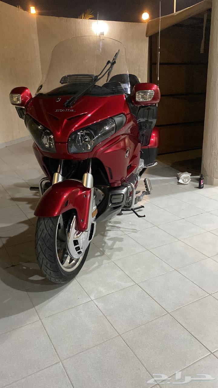 Rahal Gold Wing 2014631916371887371121