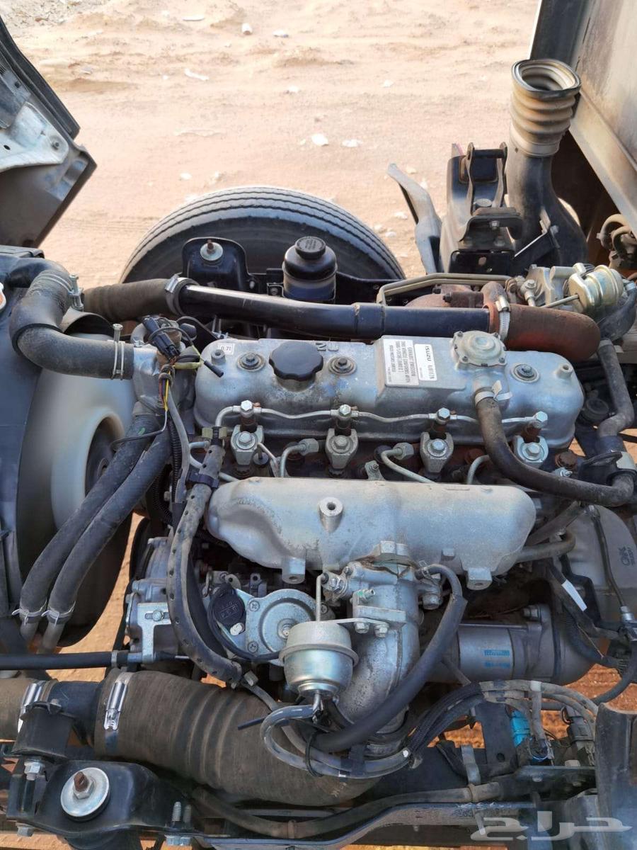 دينا ايسوزو 201363185798379778114