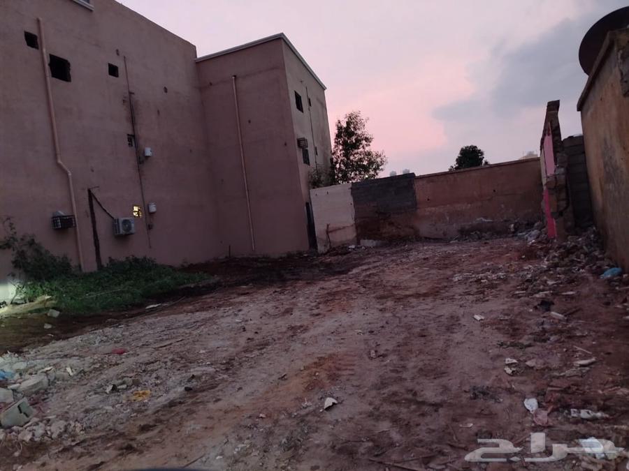 Soil63014746403459114