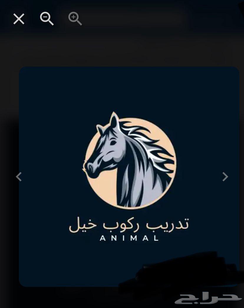 تدرييب خيول واستعراضات مهرجانات او افتتاحات او اي شي63114566260611110