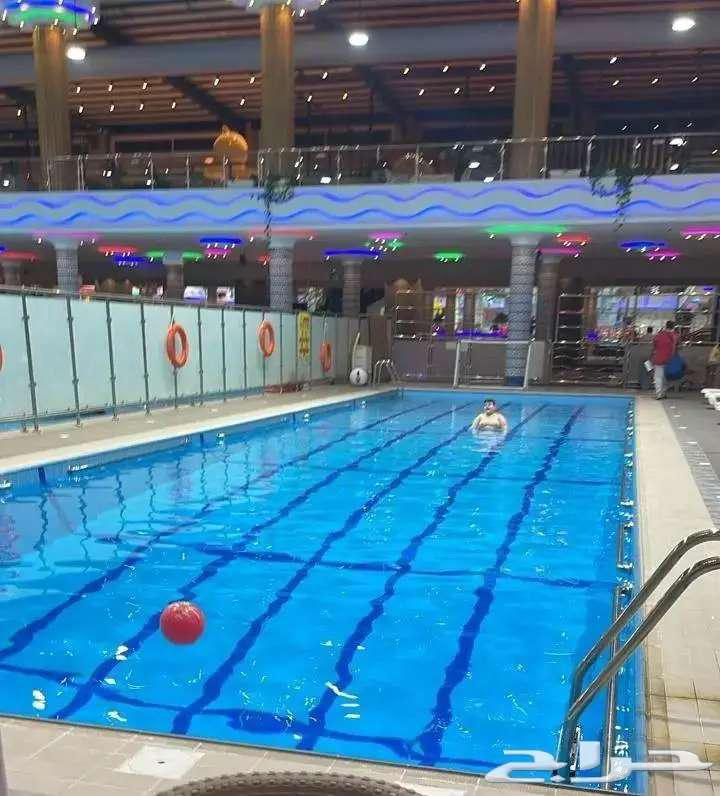 Swimming certification accredited63484785999235113