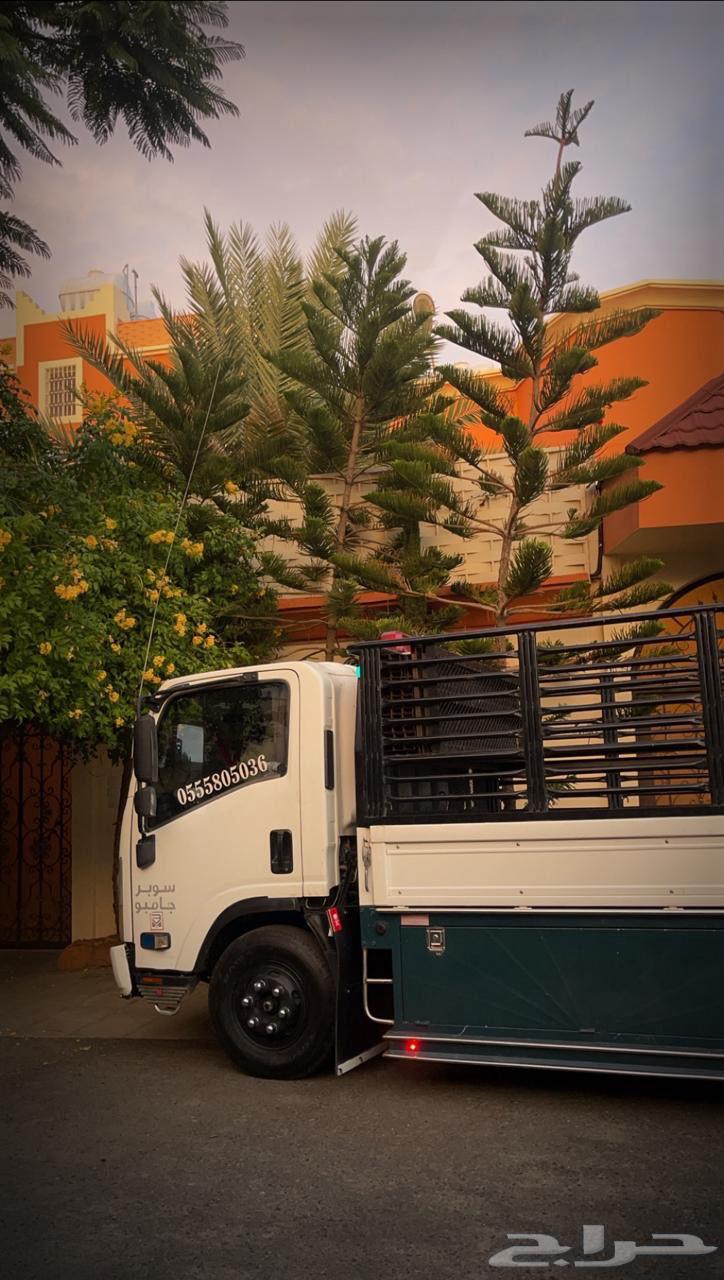 Dina 2014 for rent, Riyadh trip63171775154306111