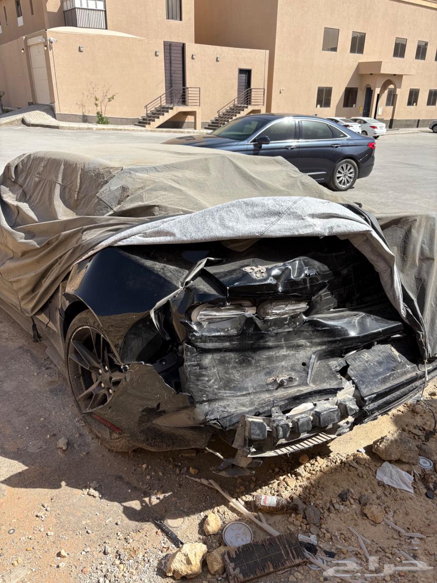 كومارو 2019 ss للبيع63166221861634113