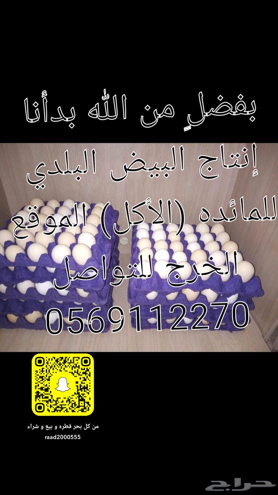 Home-made eggs, a table for eating outside631759496092181122