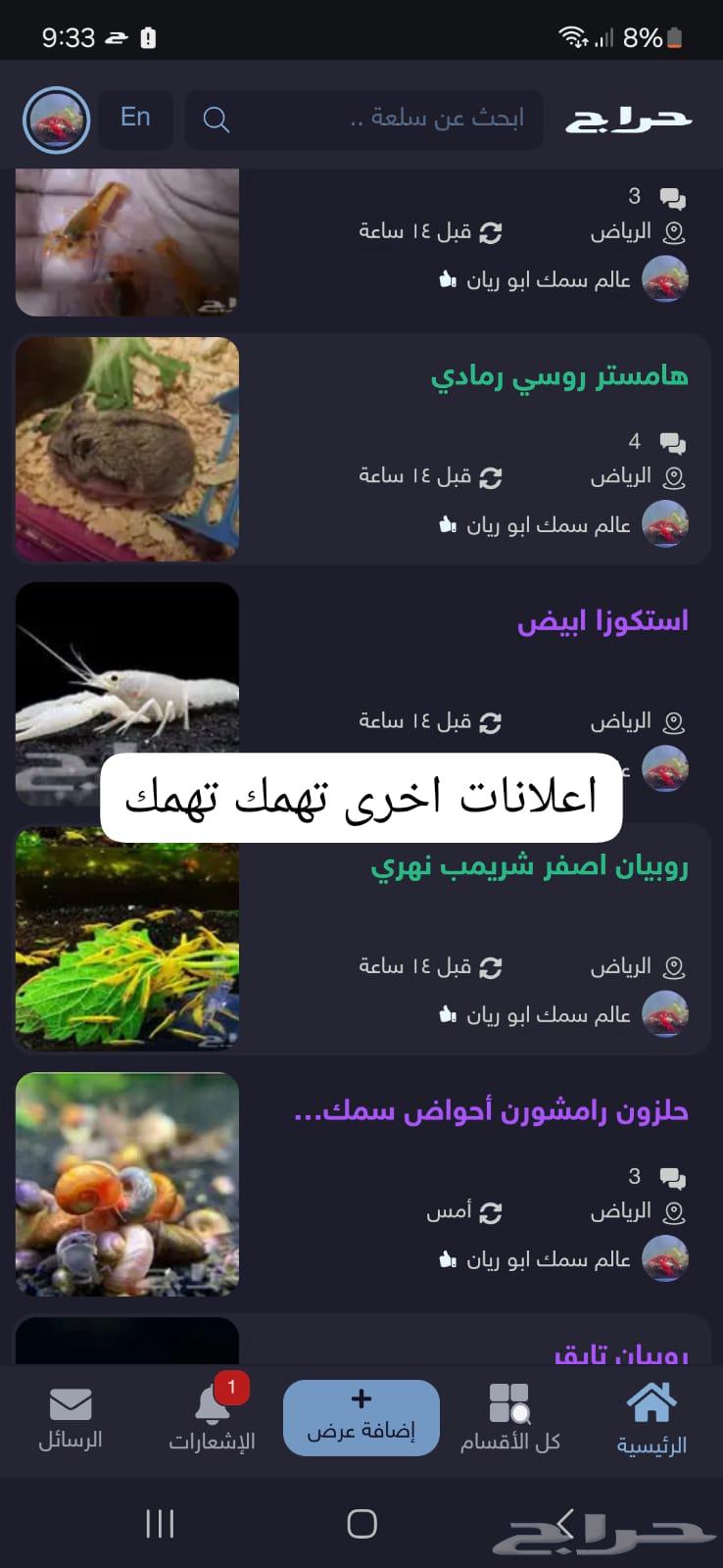 نبات نبتة الخس احواض سمك بدون كربون63102325511937111