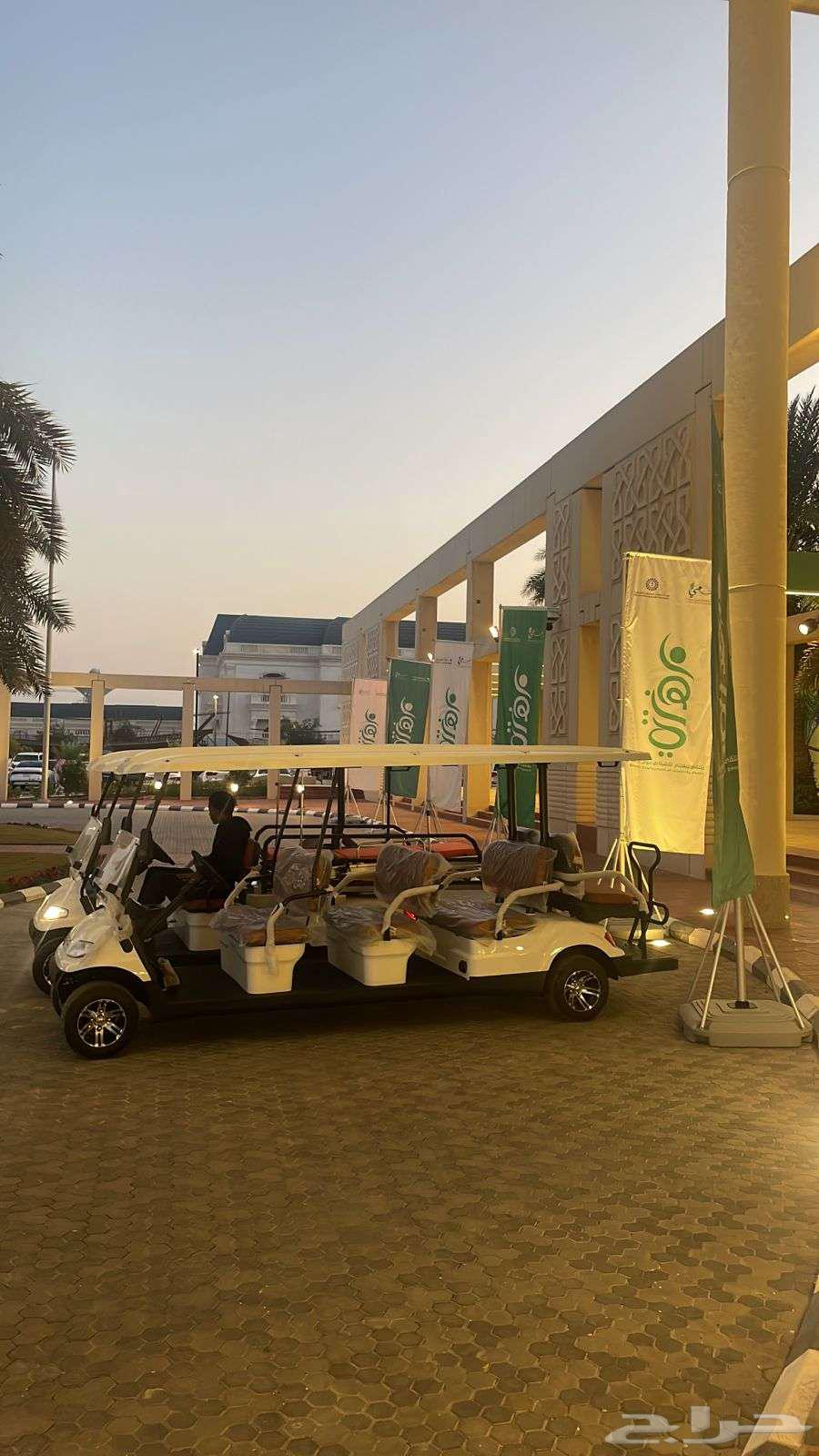 Electric golf carts for 2 to 14 passengers, for sale, rental, and maintenance63160189968003112