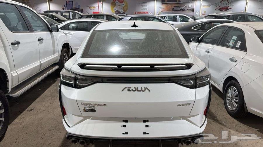 Dongfeng SHINE MACH EL 202563162037541507112