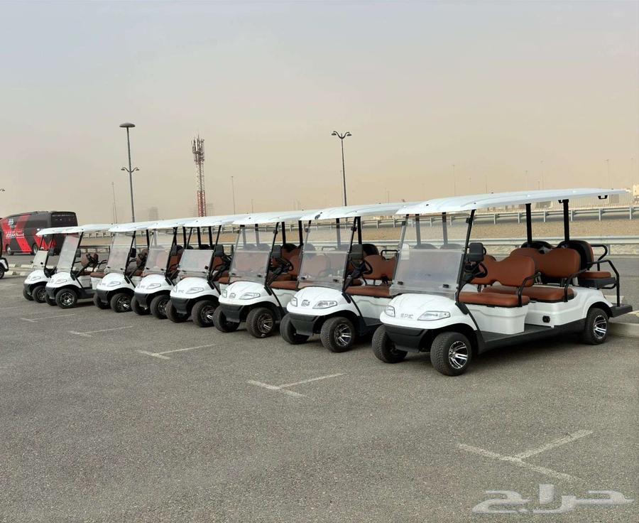 Electric golf carts for 2 to 14 passengers, for sale, rental, and maintenance63160189968003114