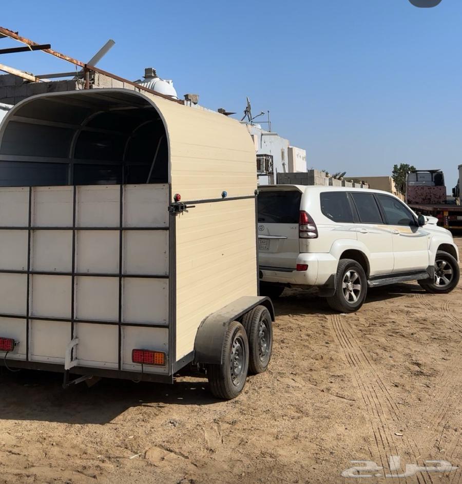 Horse transport vehicle631673246485771116