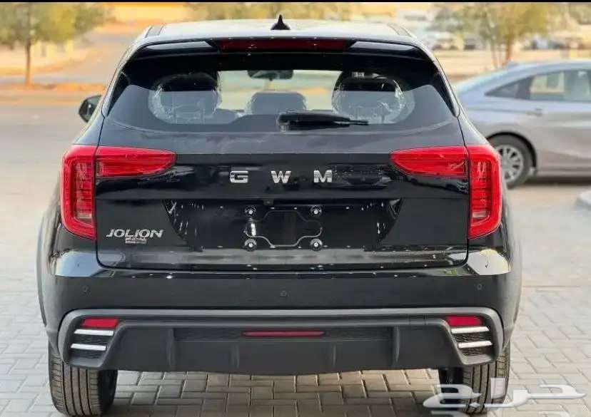 Haval Julia Model 202563155110958466113