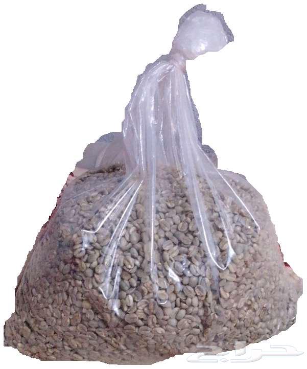 Khawlan Al-Bin Mountain63090332633602110