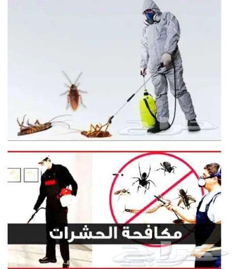 شركة رش مبيدات مكافحة حشرات63016934211330111