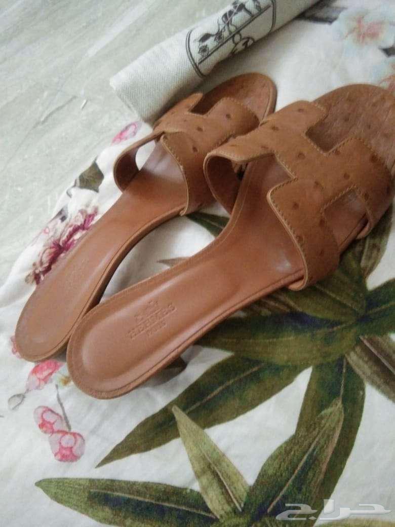 Shabshab Hormoz lightweight original use63085968537218114