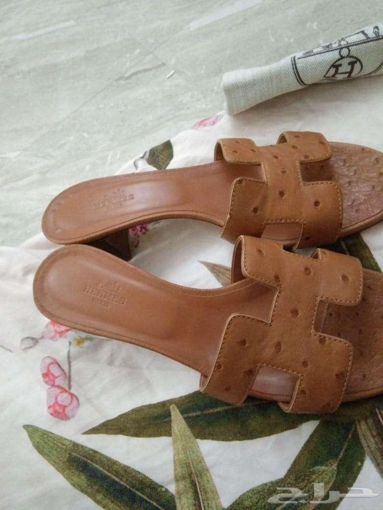 Shabshab Hormoz lightweight original use63085968537218112