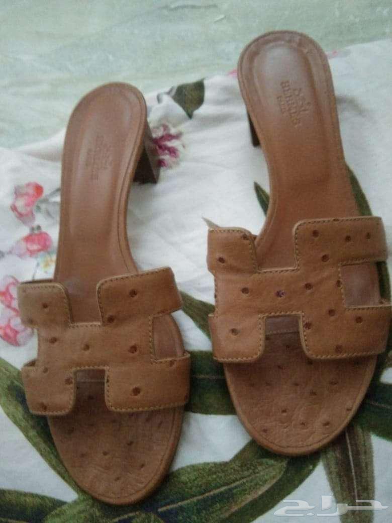 Shabshab Hormoz lightweight original use63085968537218111