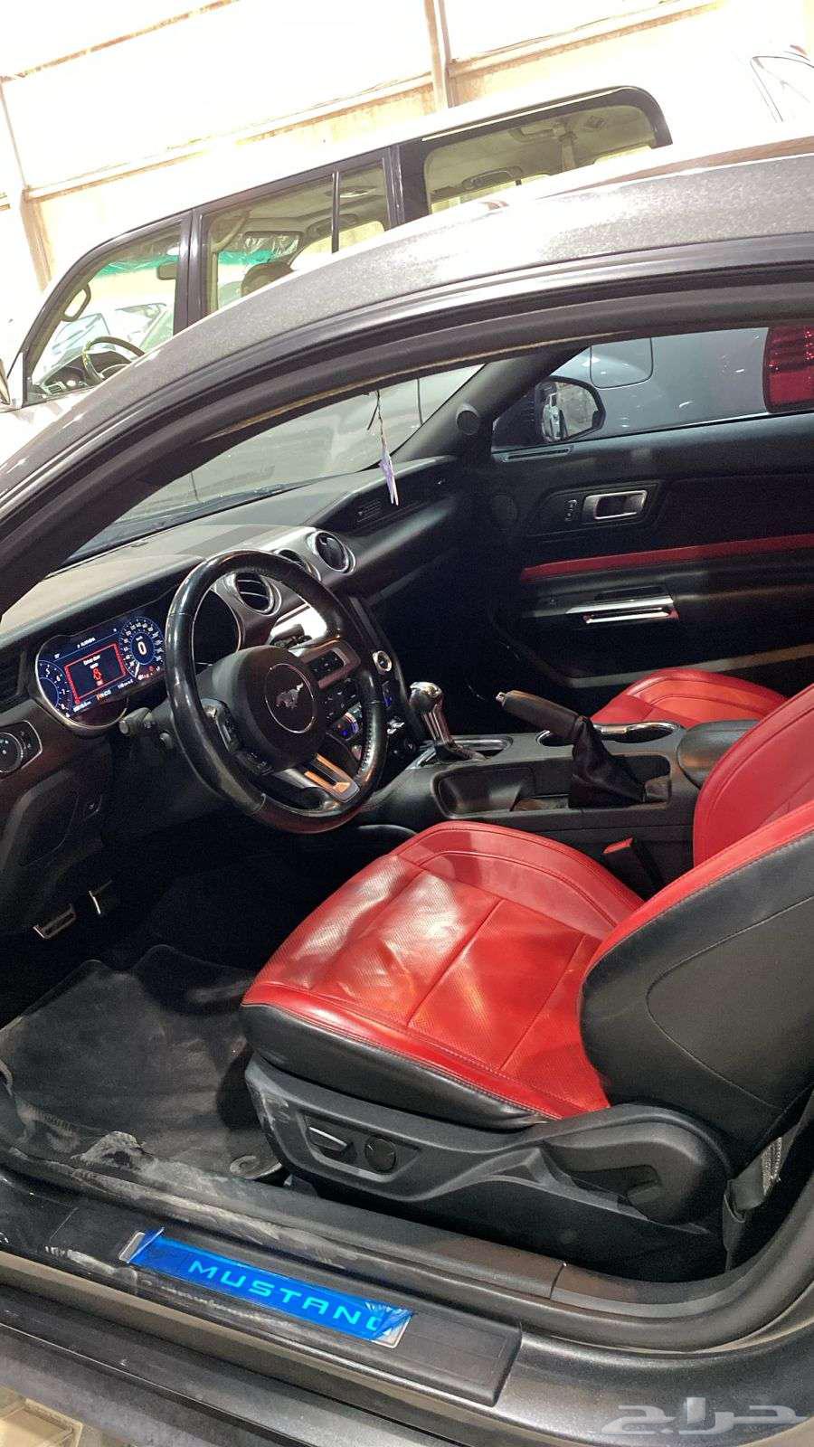Ford Mustang Coupe GT, imported from Qatar, model 202063127397839105114