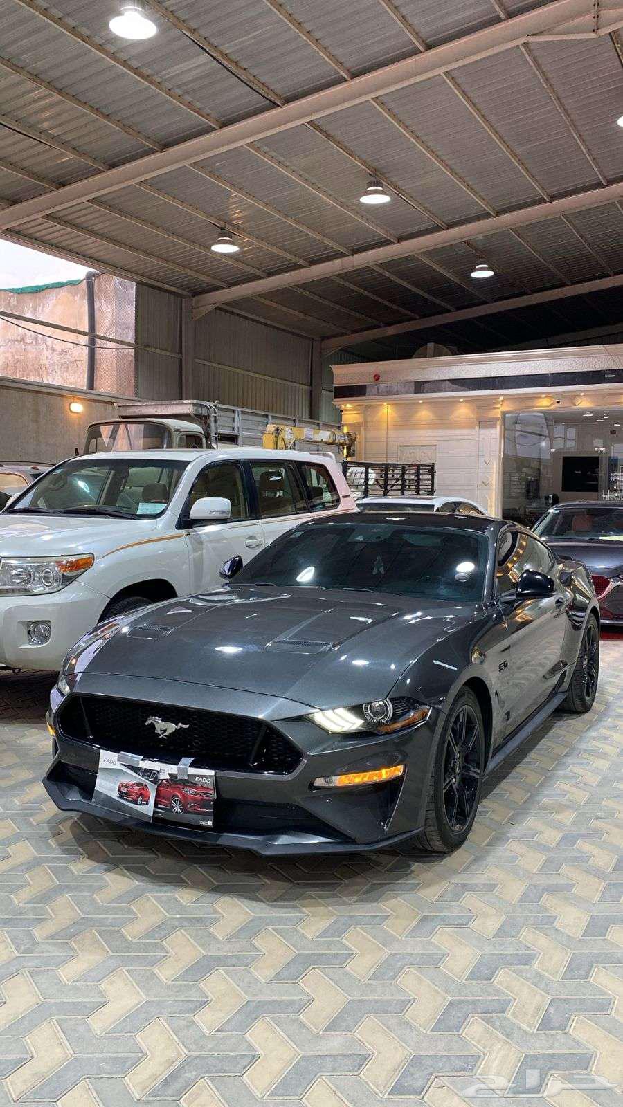 Ford Mustang Coupe GT, imported from Qatar, model 202063127397839105111