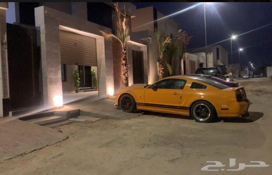 موستنج جي تي موديل 200763129705377153111