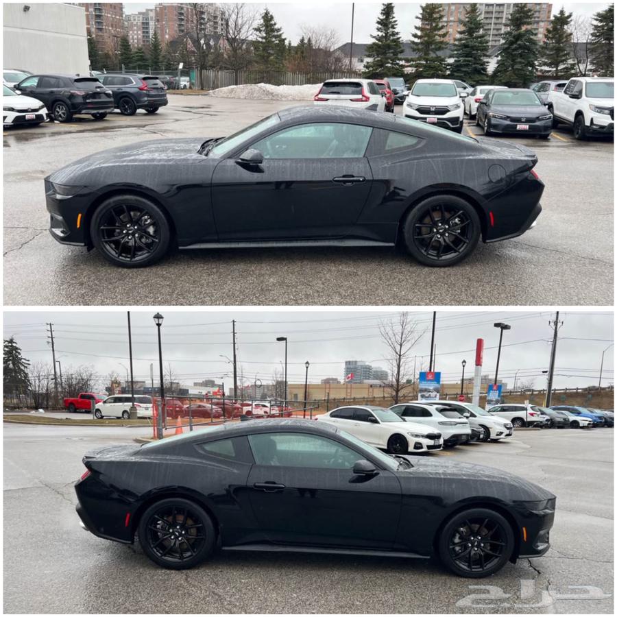 For sale 2024 Ford Mustang EcoBoost ((B155 thousand riyals))63127419046017111