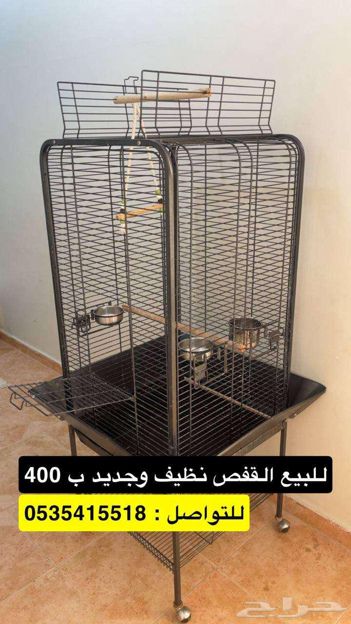The cage is clean63081044374019111