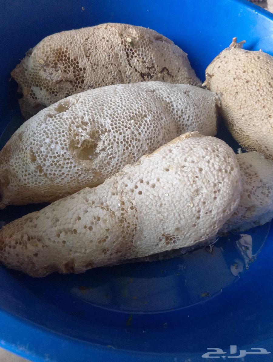 17.5 kg Pure Wild Honey Without Human Intervention63082278284930113