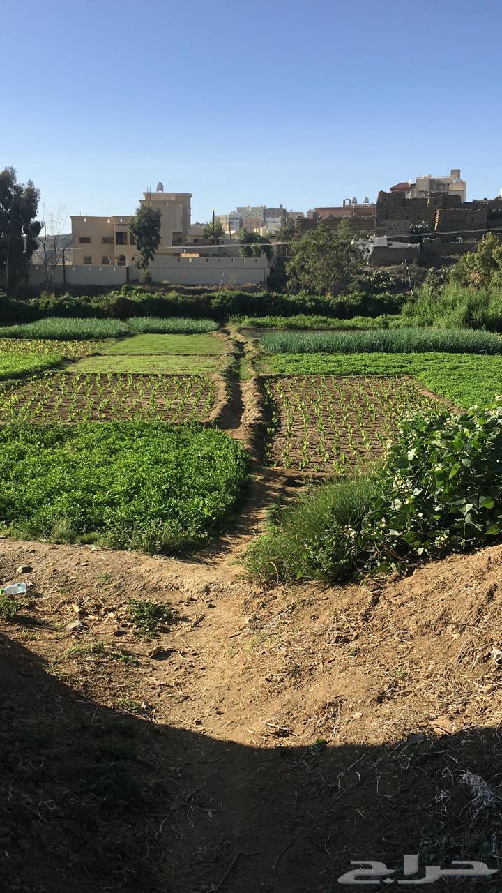 Agricultural land area 5180 m63013820604930113