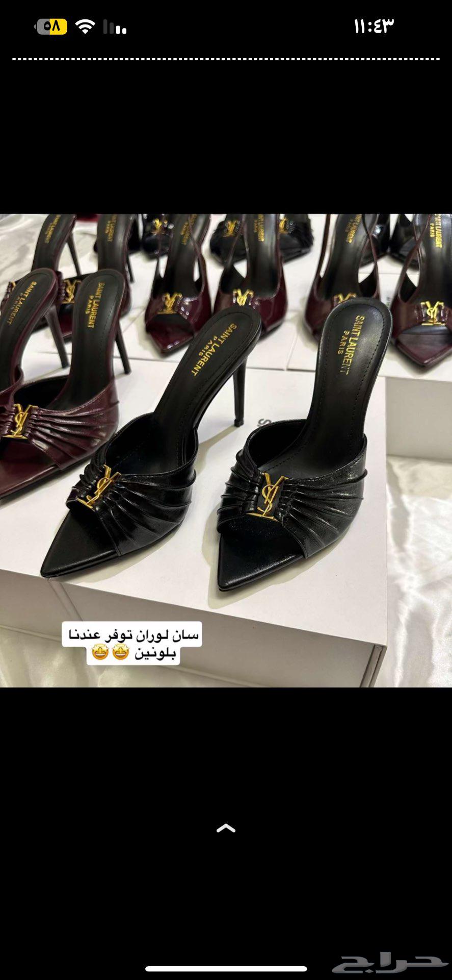 YSL 280 Rials only63077764734467112
