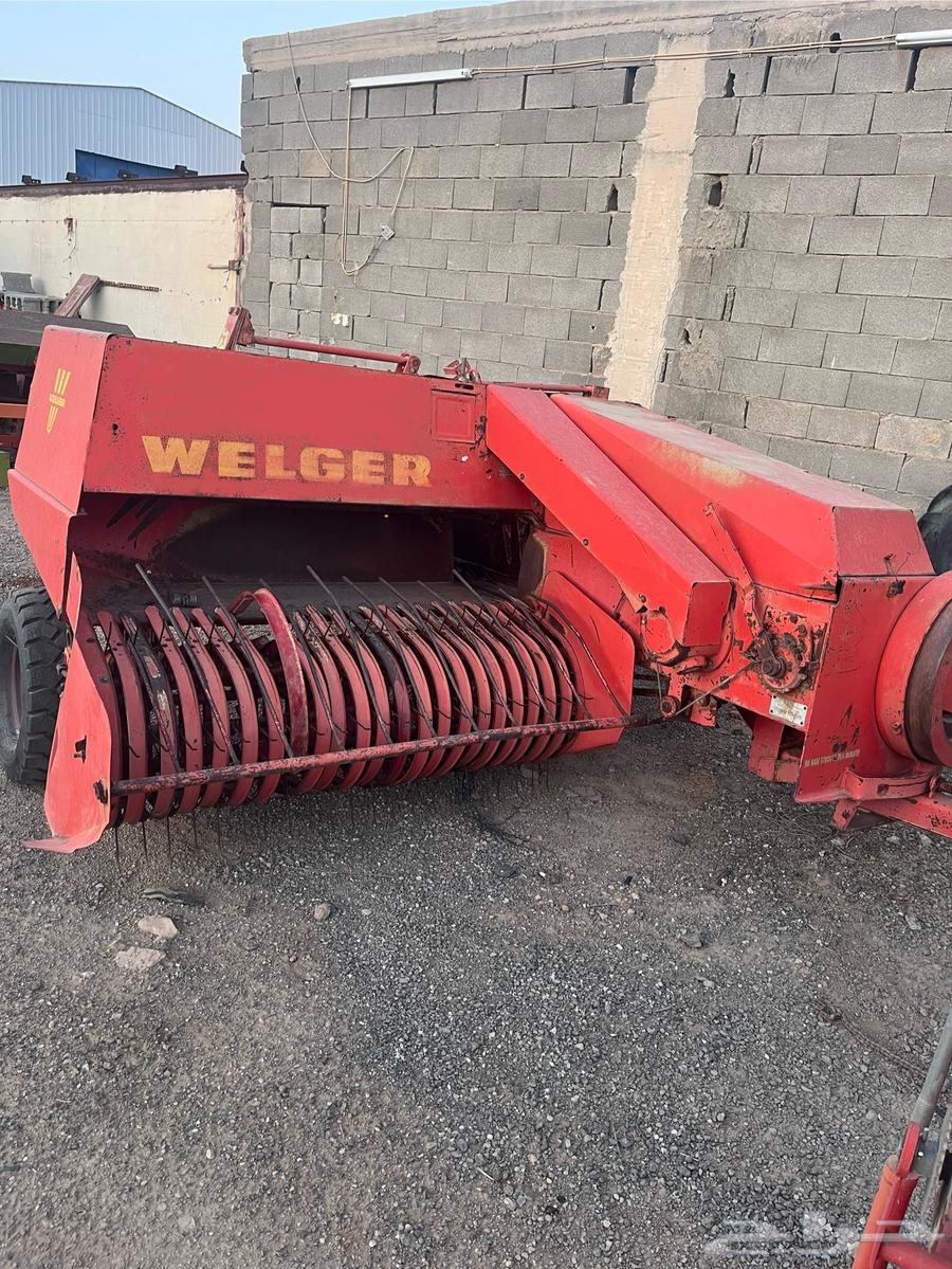 Lubana and Lujer for sale634706171633931128