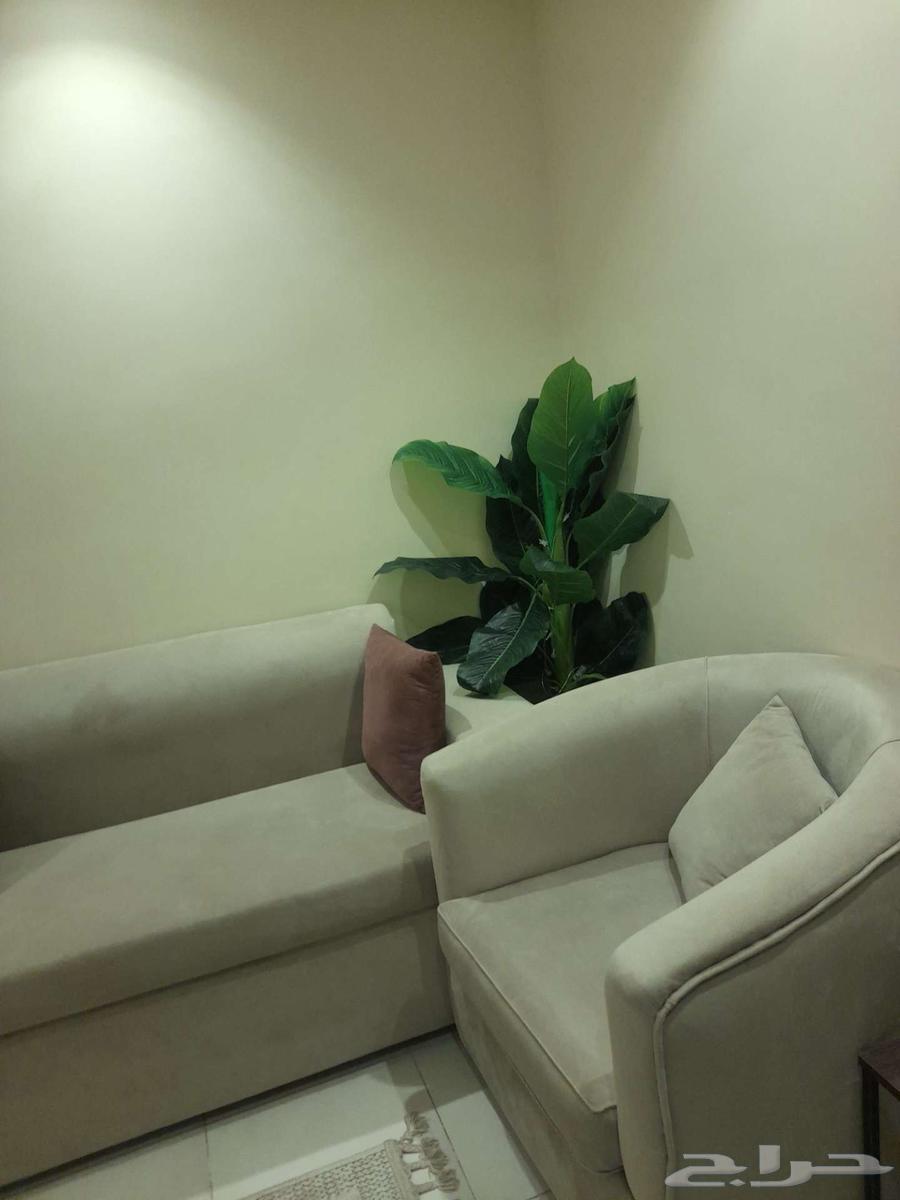كنب اخو جديد مع ستارة مع مفرشة مع مكيف 24 على السوم السوم63081074717698111