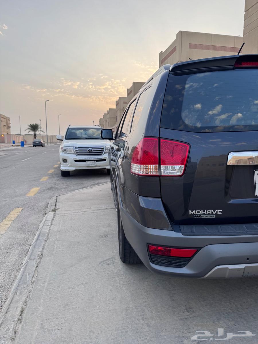 موهافي 201863119155610625114