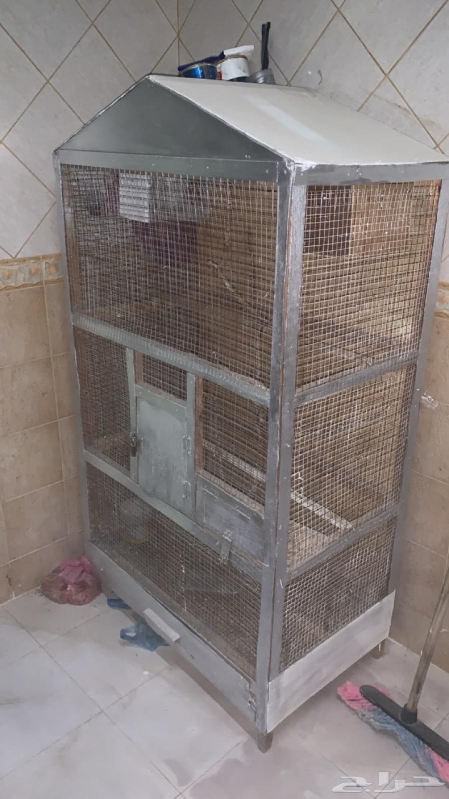 For sale cage630781482982411126