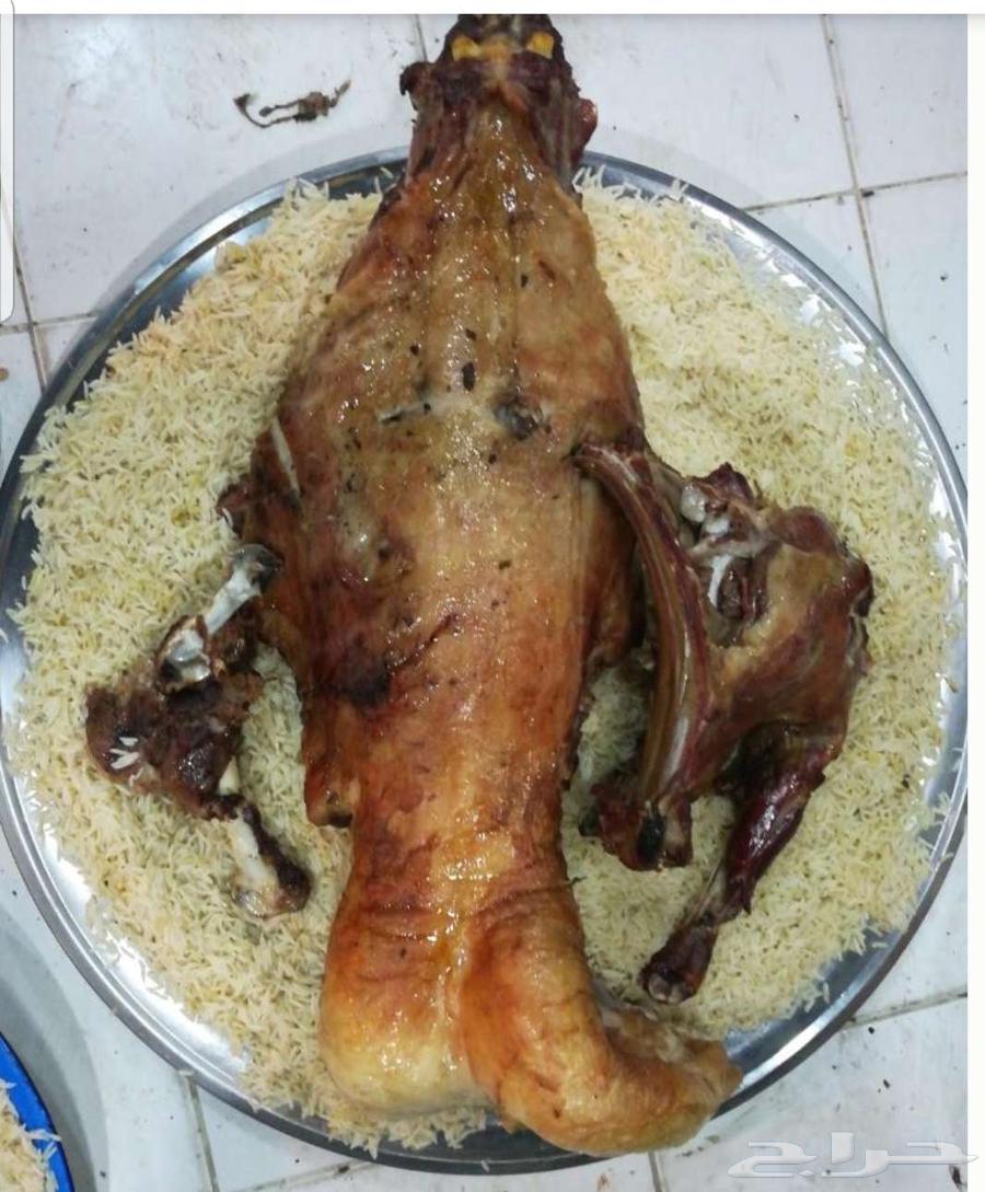 Haneeth slaughter Arabian Saliq Khozi Medini Kabuli Bukhari63078993143554115