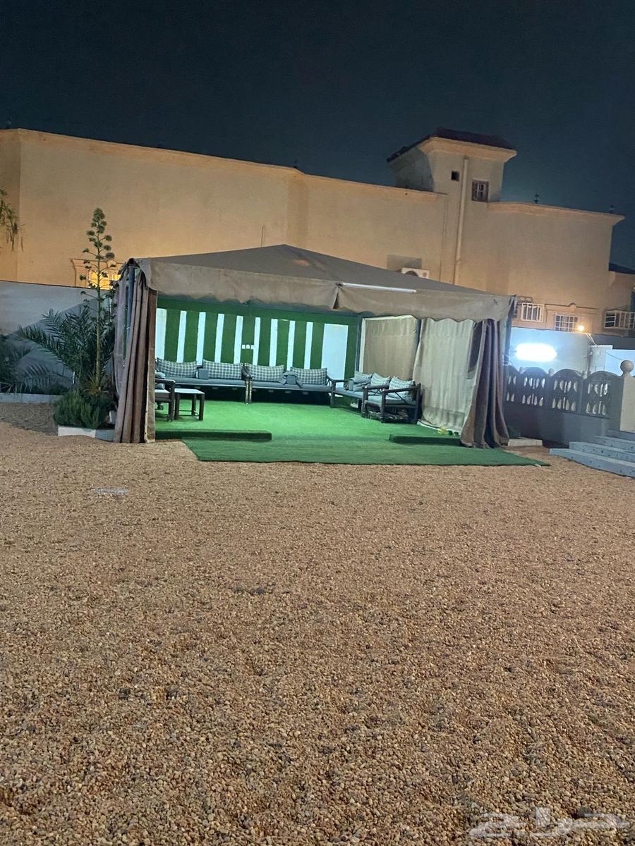 Arish 7 6 for sale630733317889291112