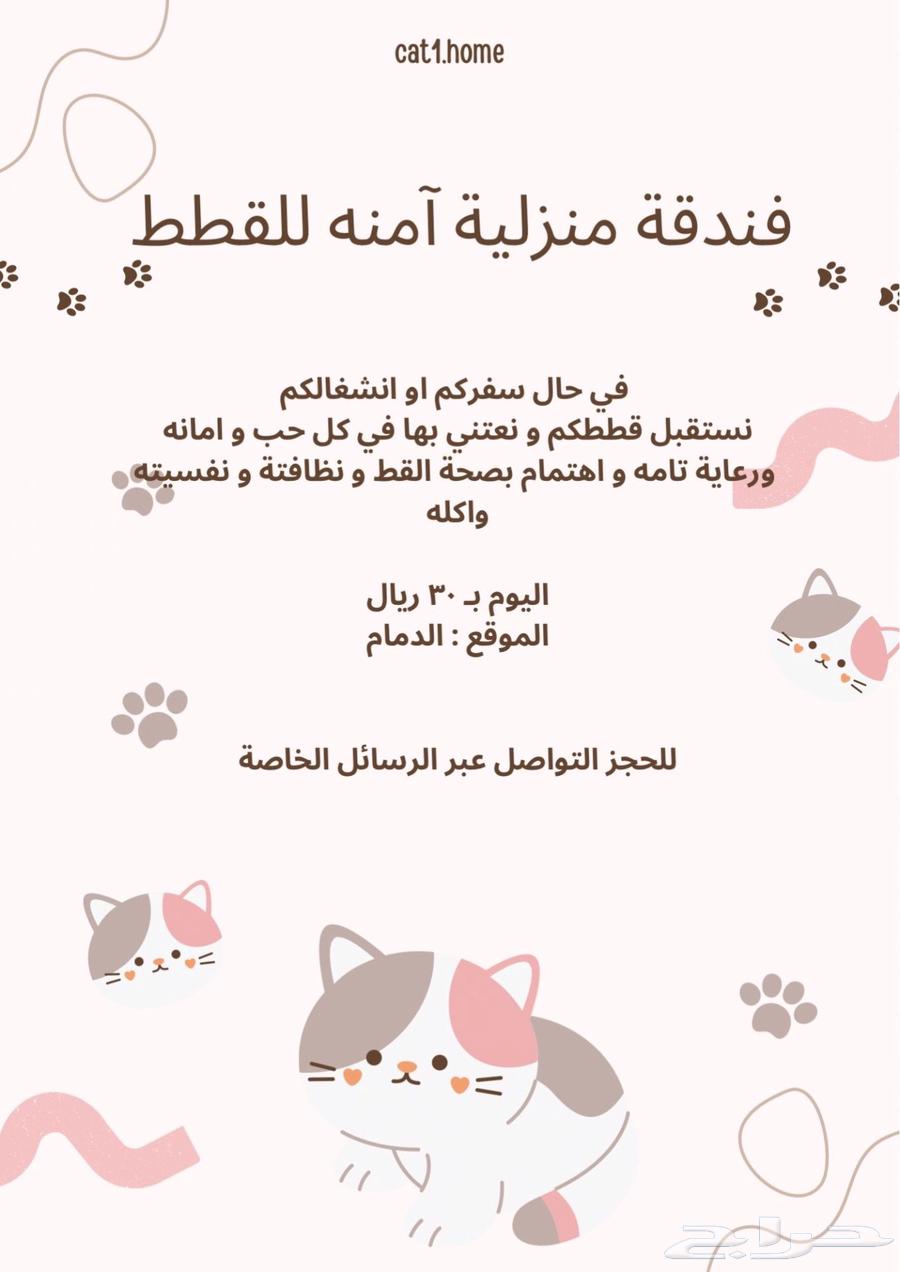 فندقة قطط بدون اقفاص الدمام63074986167298112