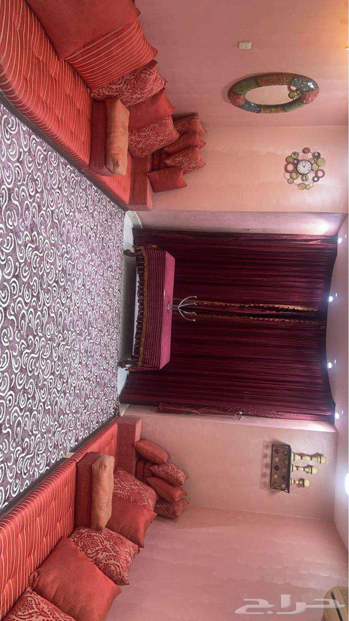 كنب للبيع مستعجل لون مميز63073372240514111