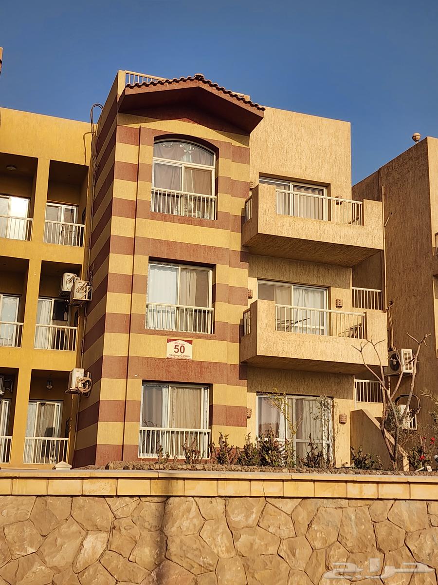 A villa with a great location on the Red Sea in Egypt62884396200321113