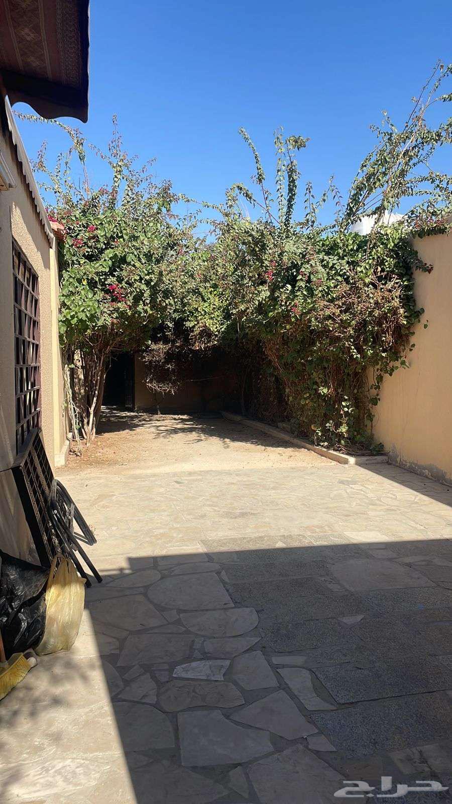 استراحه عمال للايجار 4 غرف حوش بايكه62930668305537111