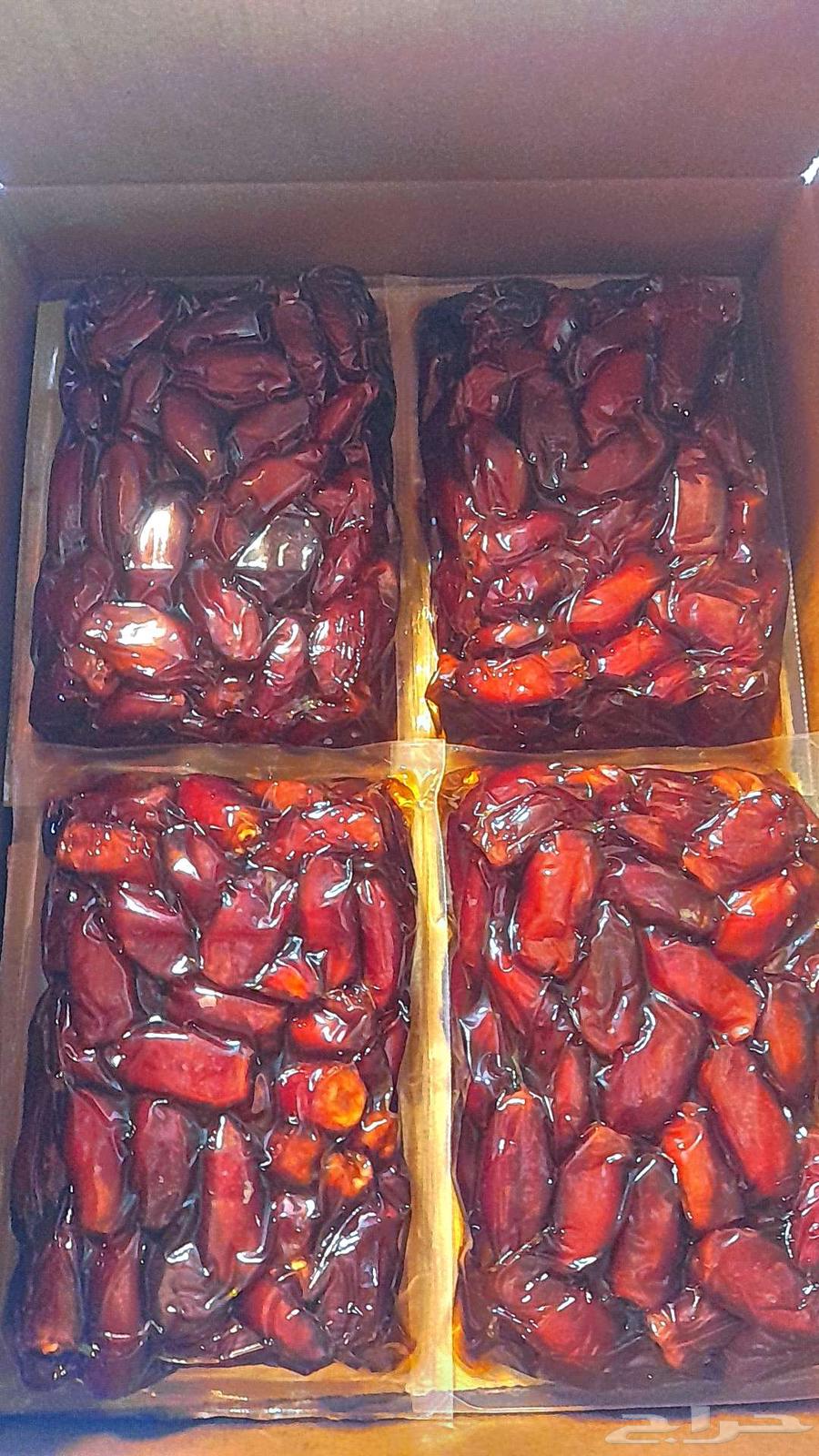 تمر خضري عضوي63070502907523112