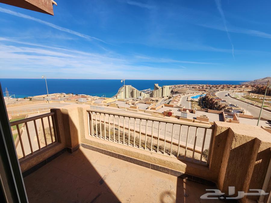 A villa with a great location on the Red Sea in Egypt62884396200321114