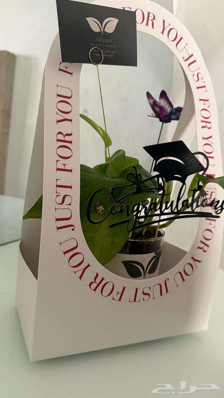 Natural plants63067981225857114