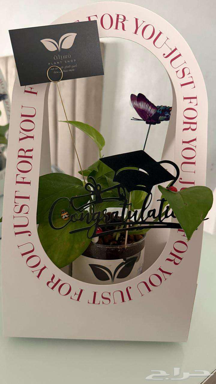 Natural plants63067981225857112