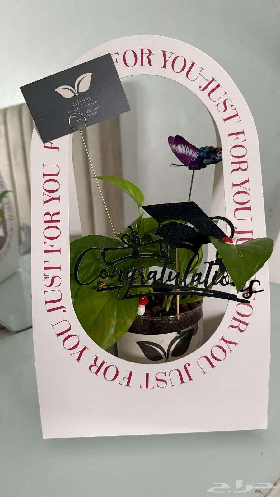 Natural plants63067981225857113